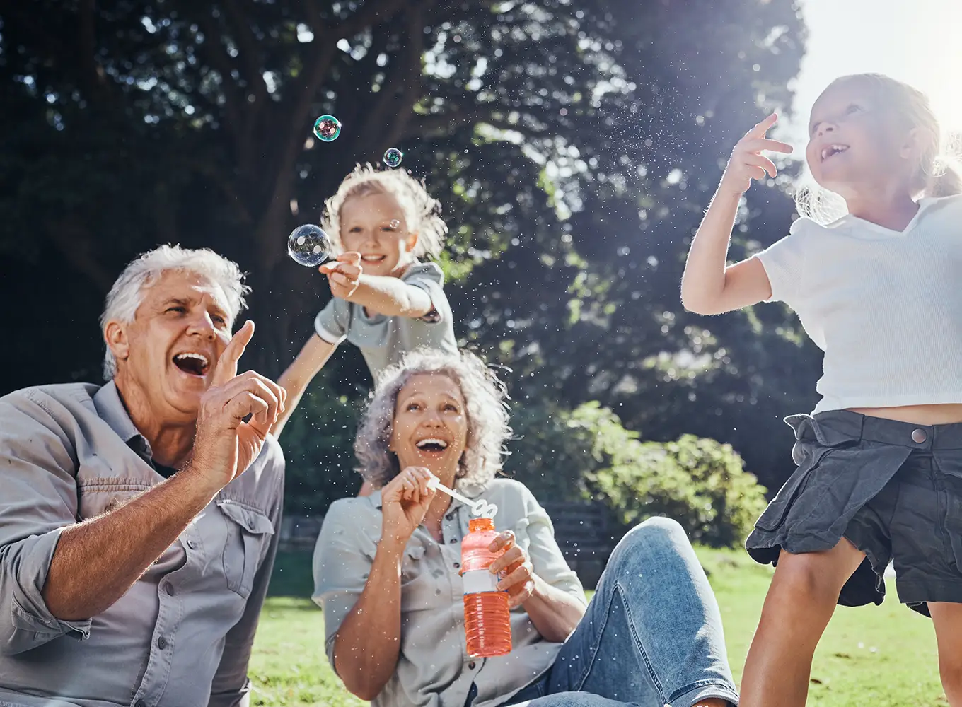 elderly couple enjoying their time with their grandchildren - Springfield, IL